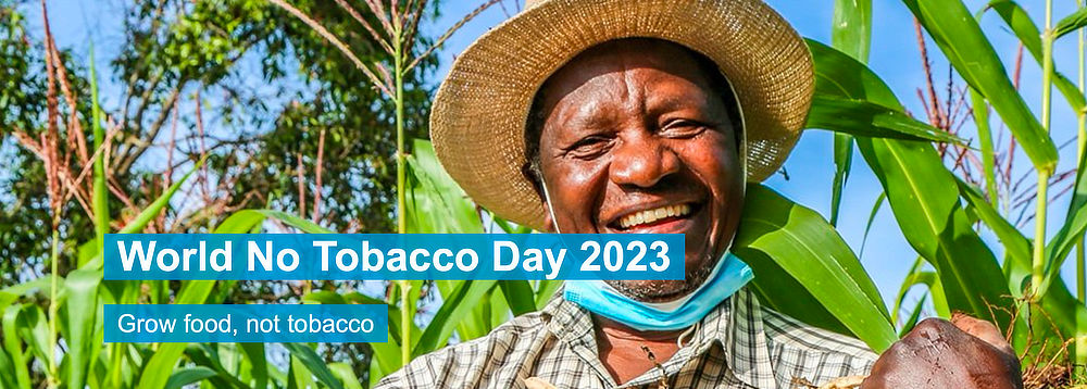 Cultivo de tabaco OMS 2023
